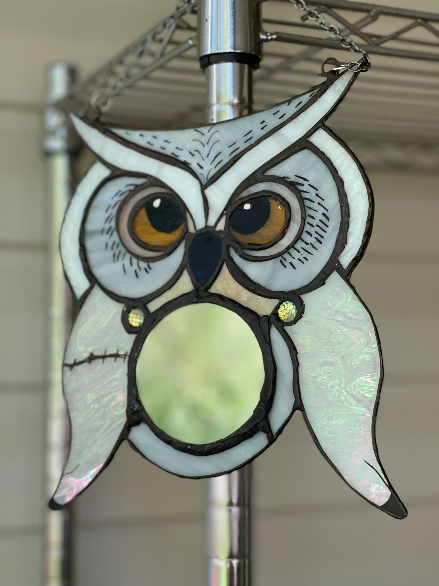 Hedwig Inspired Owl Mirror