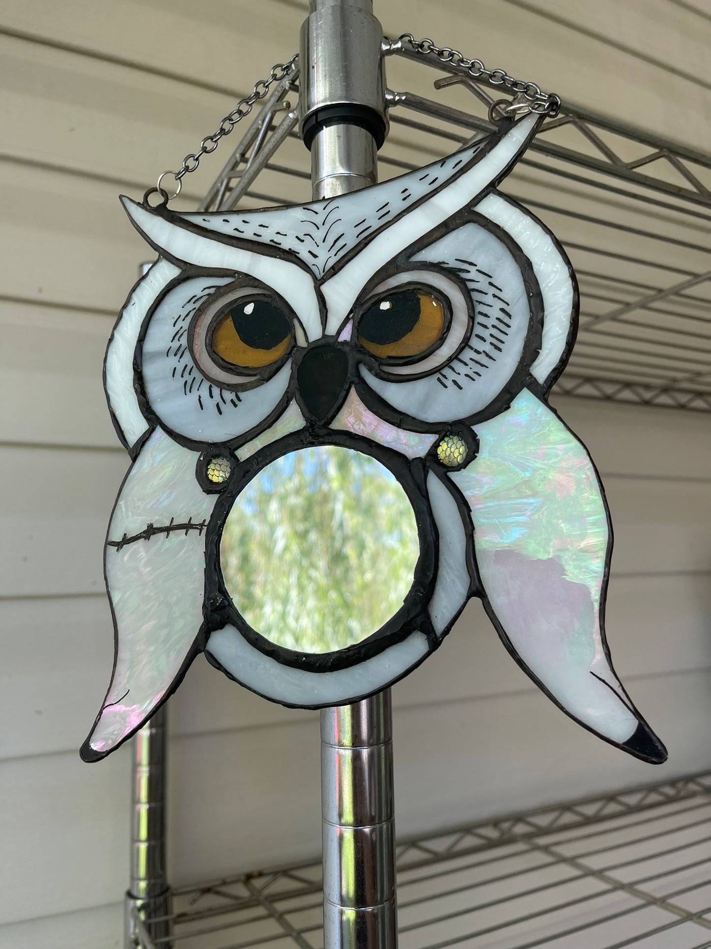 Hedwig Inspired Owl Mirror