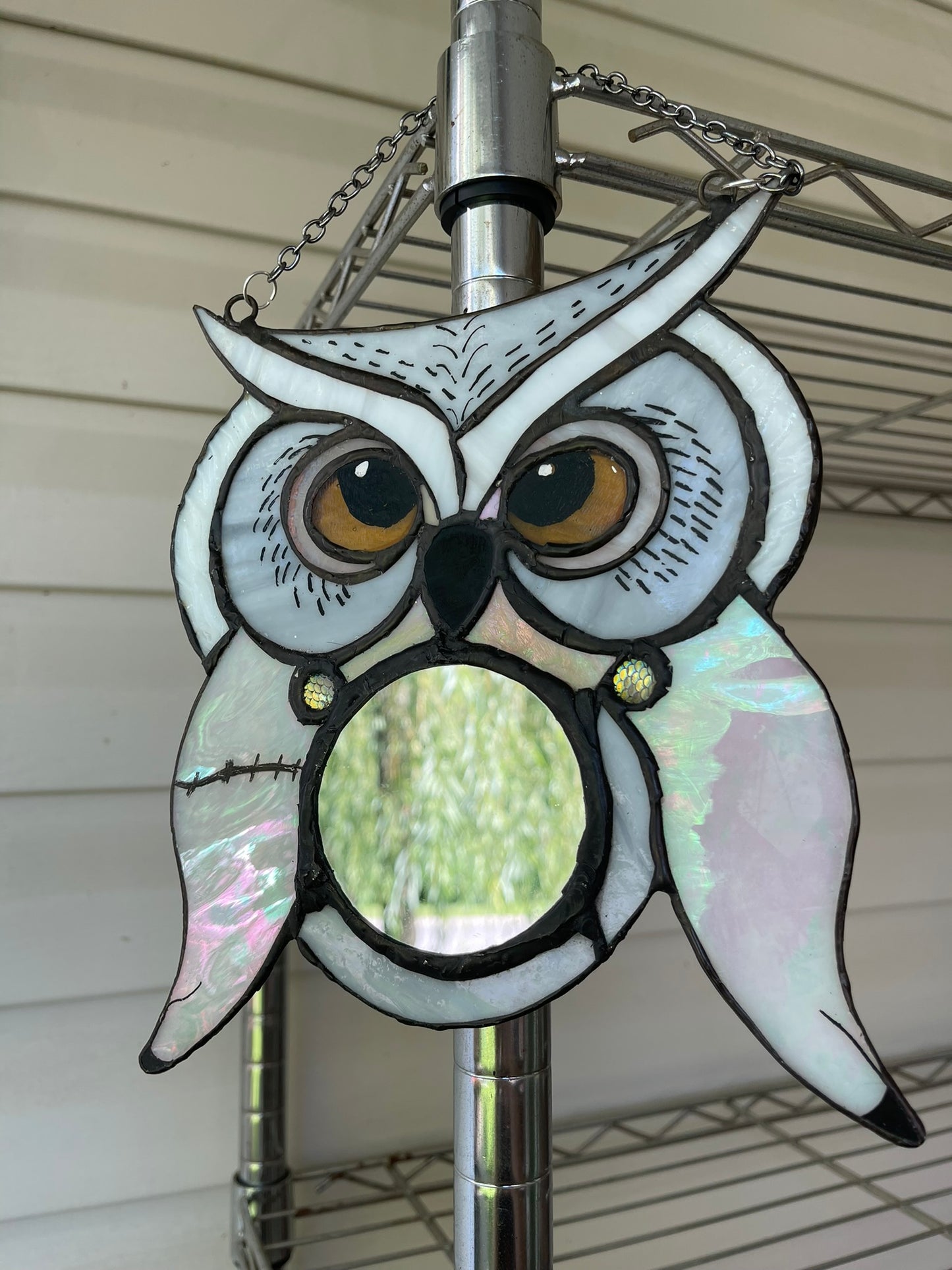 Hedwig Inspired Owl Mirror