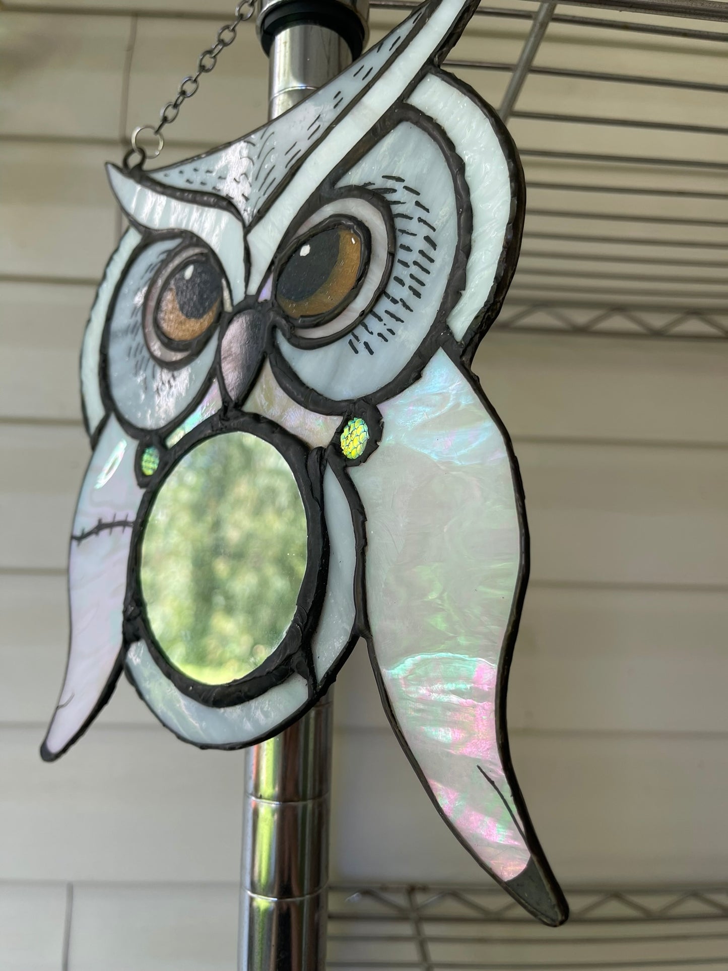 Hedwig Inspired Owl Mirror