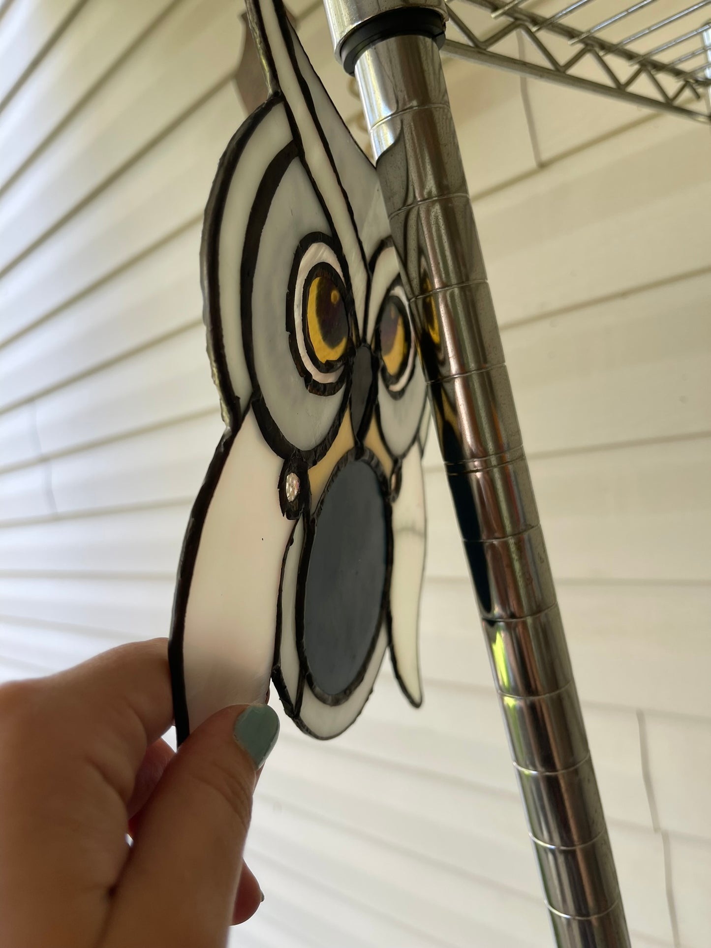 Hedwig Inspired Owl Mirror