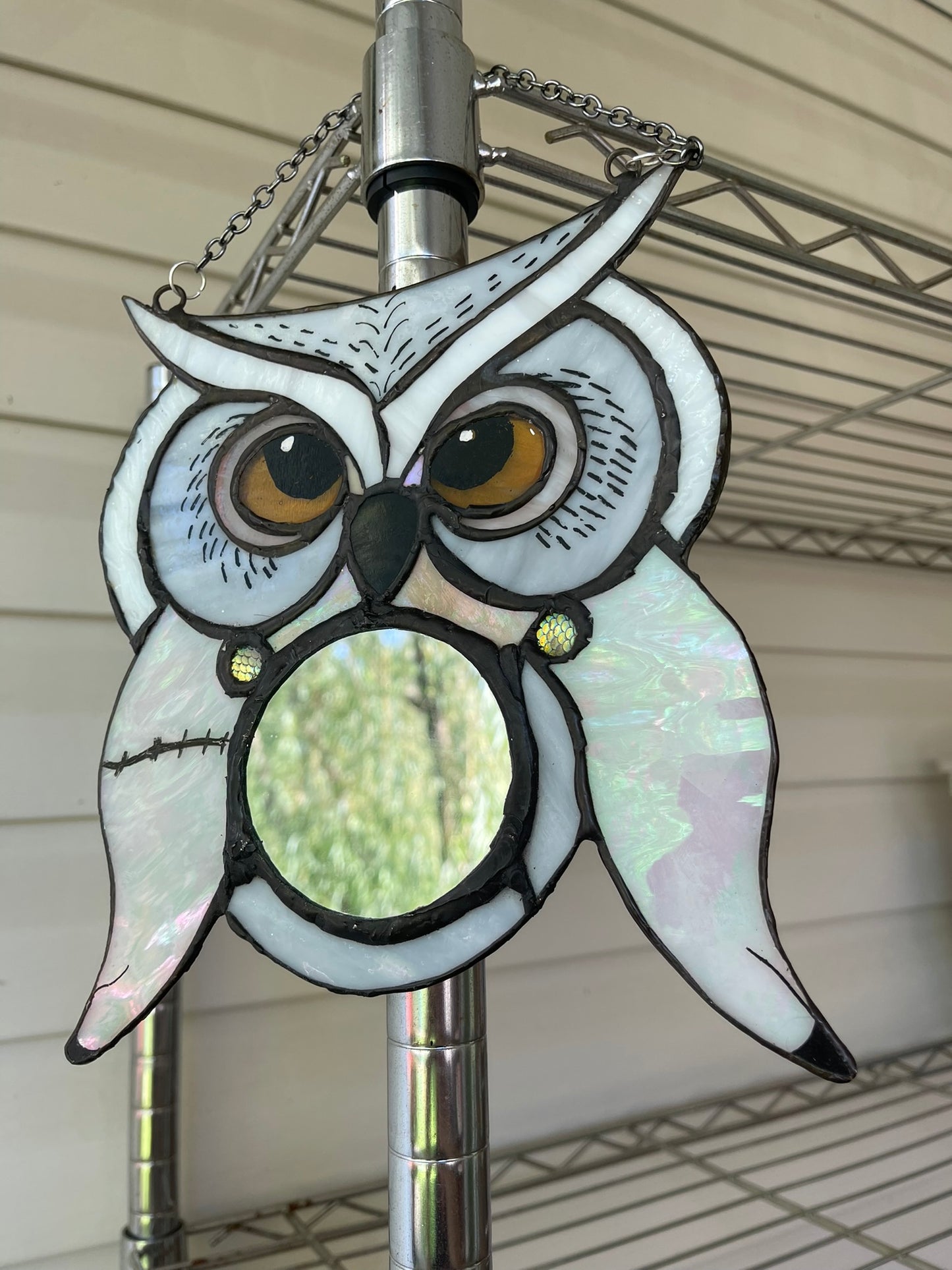 Hedwig Inspired Owl Mirror