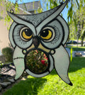 Hedwig Inspired Owl Mirror