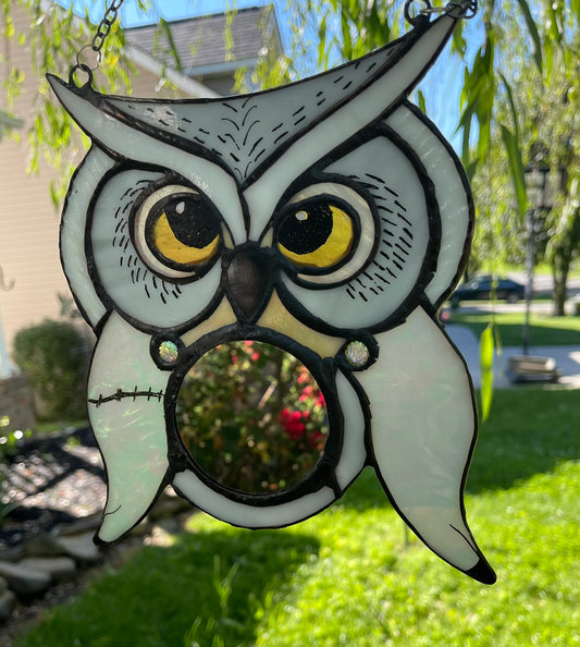 Hedwig Inspired Owl Mirror