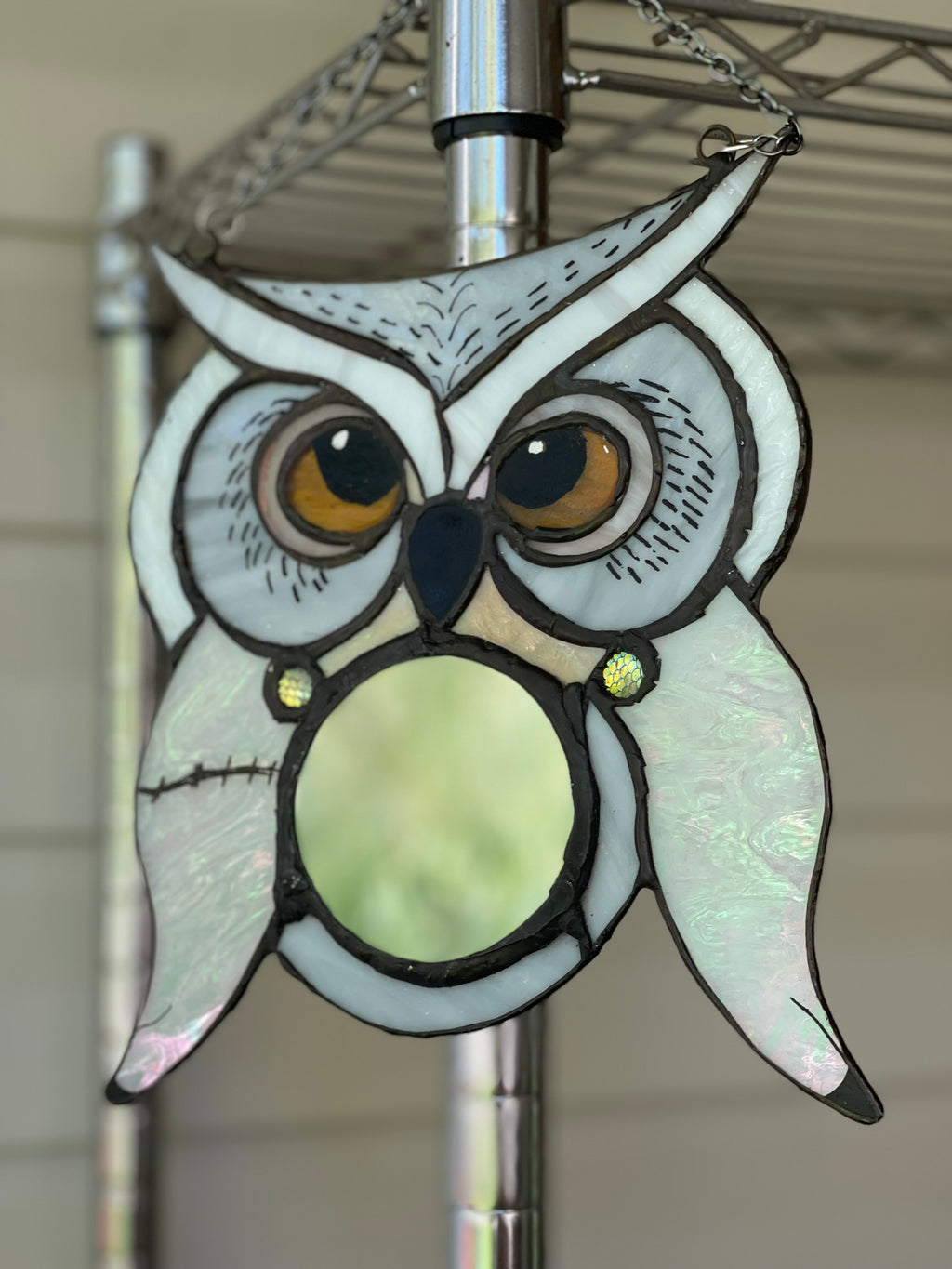 Hedwig Inspired Owl Mirror