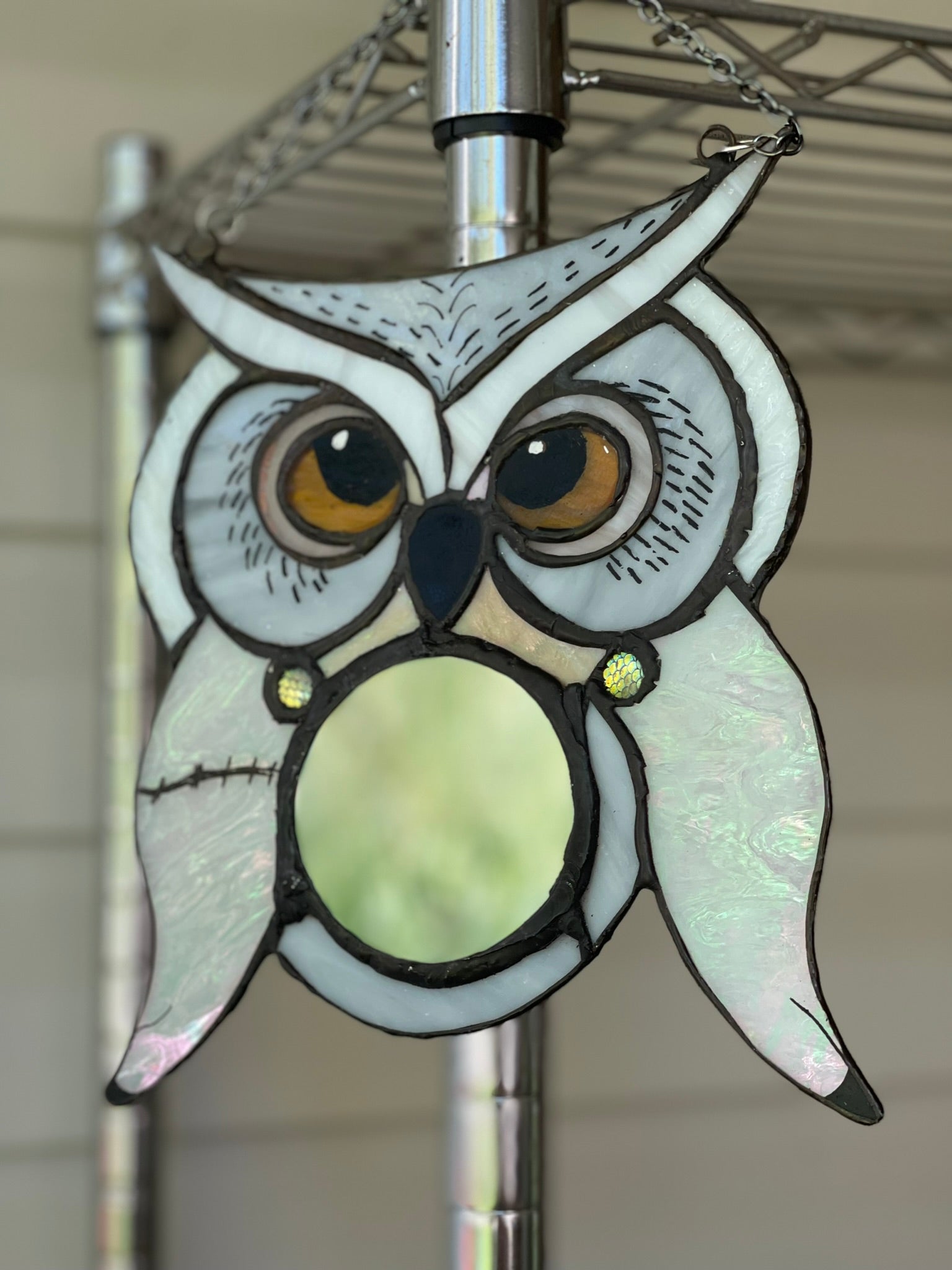 Hedwig Inspired Owl Mirror