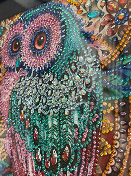 Owl Framed Diamond Art Wall Hanging