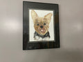 Yorkie