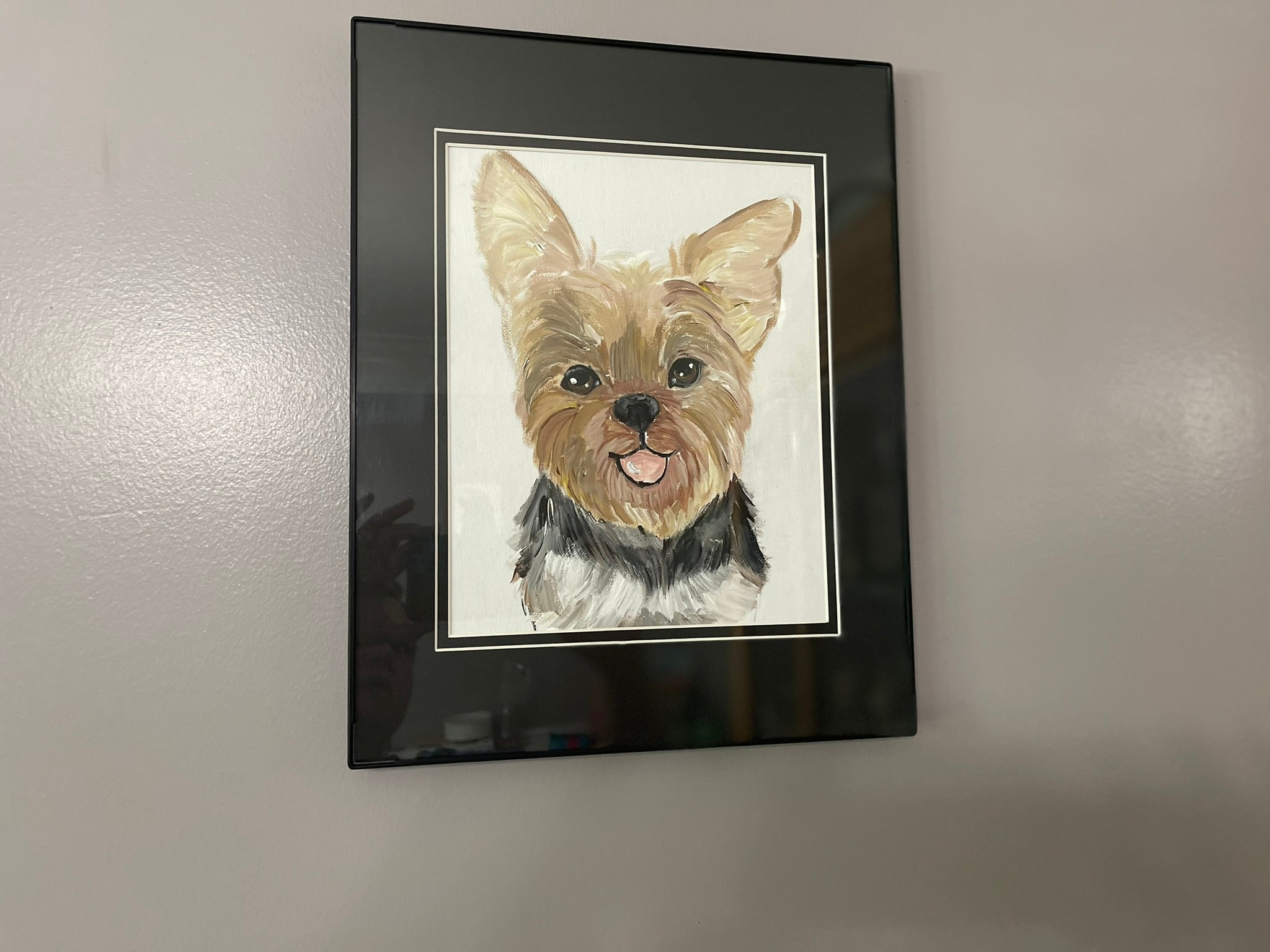 Yorkie