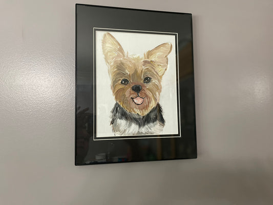 Yorkie